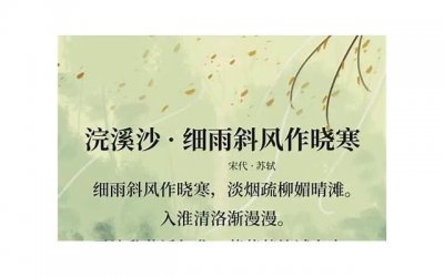 ​双子座：自我价值认知与人际互动的瑰宝天