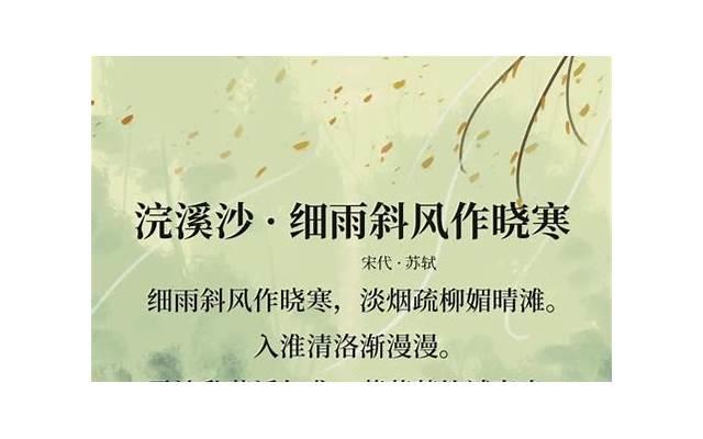 双子座：自我价值认知与人际互动的瑰宝天