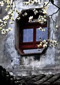 ​中国文学史上必看的经典长篇小说