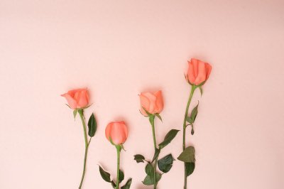 ​一个人若是真的在乎你，就不会对你做这些事