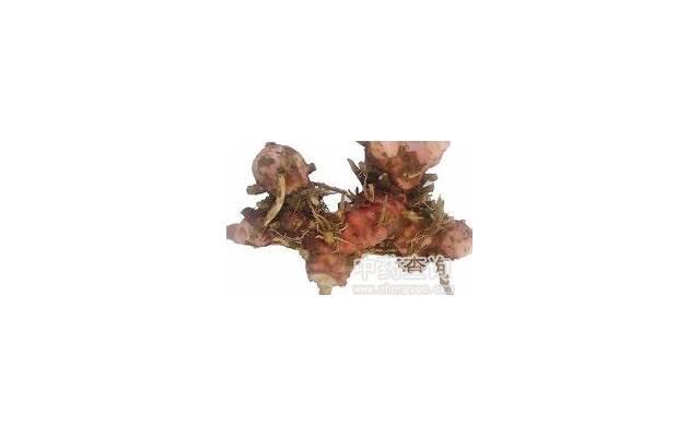 核桃花的功效与作用