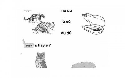 ​长得很漂亮的大龄剩女（娱乐圈5位大龄剩女）