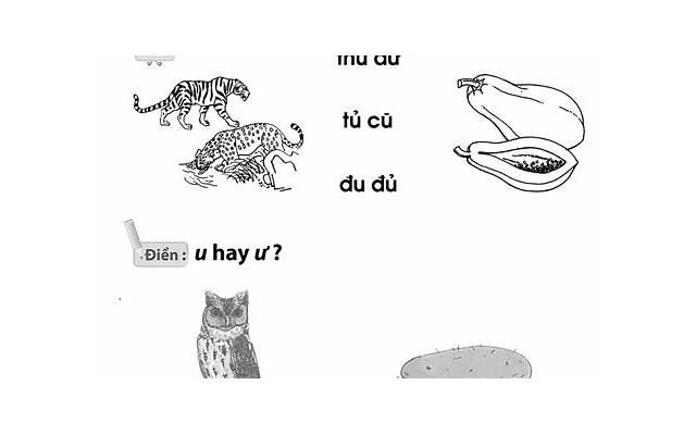 长得很漂亮的大龄剩女（娱乐圈5位大龄剩女）