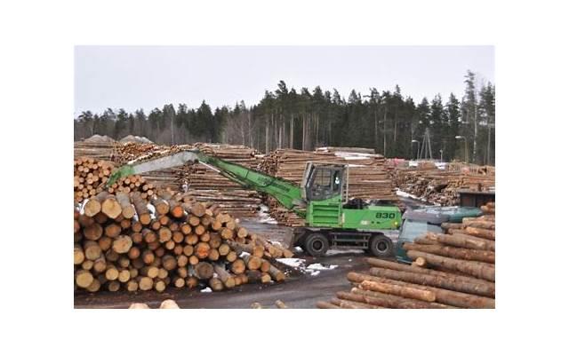 2岁小孩一不顺心就大喊大叫