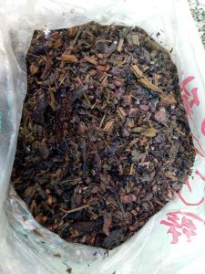 药渣能当肥料种花吗(中药渣如何发酵做肥料来养花)