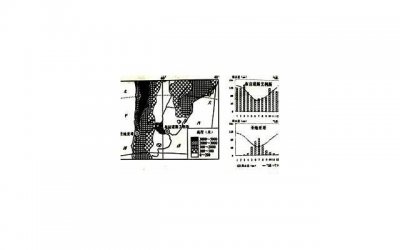 东莞往事:一份5块钱的炒米粉,献出了19岁少女最宝贵的第一次