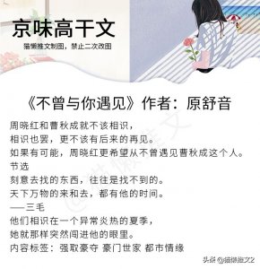 5本还没被推烂的京味高干文,冷门高质量,破镜重圆,又甜又虐