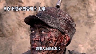 《永不磨灭的番号》将士们用自己的生命去捍卫信仰和理想!