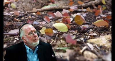 《失控》:机器、社会与经济的新生物学#好书分享