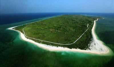 西沙东岛发现大批“野牛”群,该岛远离大陆,“野牛”从何而来?