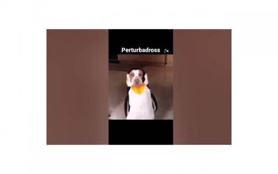 小孩把别人弄伤了怎样道歉?别着急道歉,用好这六步法