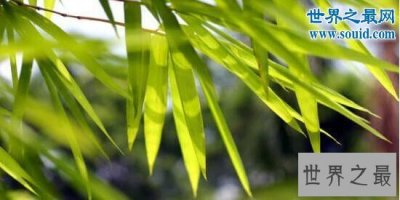 武侠小说十大暗器,都是随处可见的小物体