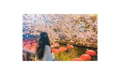 李连杰女儿李思(李连杰利智的女儿们读美国名校)