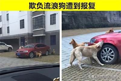 因果报应!由于做了坏事,结果导致受到相应惩罚的7个人