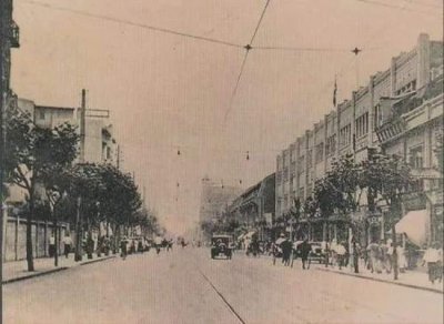 上海满街法国梧桐里……长满了冷知识