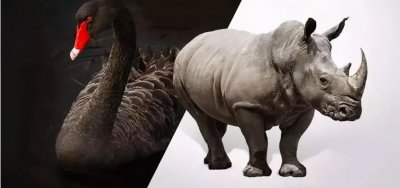 “黑天鹅”与“灰犀牛”