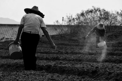 先富带后富?精英主义原理?