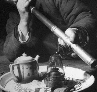 坑害了无数中国人的“阿芙蓉”,中医是怎么认识它的