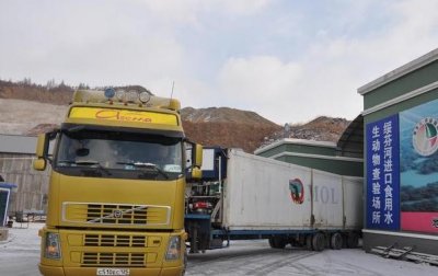 绥芬河口岸首次进口俄罗斯鲜活海参