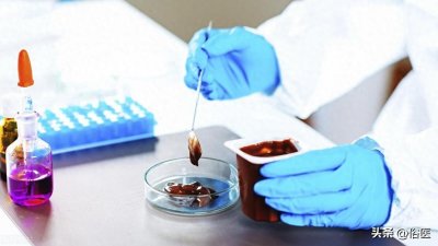 氮氧化物:比他达拉非、西地那非更关键的物质,介绍6个获取途径