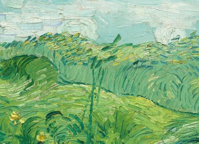 感情胜负欲的意思是什么