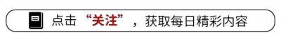 内娱叔圈10人天菜天团:从路人甲到全民追捧,撑起娱乐圈半壁江山