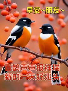新年好!春去花还在,人来鸟不惊,祝福图。歇后语真有趣。