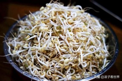 发豆芽方法与步骤(教你一分钟学会发豆芽)