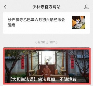 16岁出家,34岁任方丈,释永信随电影《少林寺》爆火起家,目前少林寺官号已删