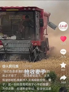 山东麦田起火原因曝光,抢收小伙是00后,看到收割机网友不淡定了