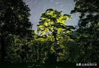 惠更斯及其同步现象研究丨陈关荣