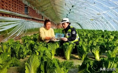 【护农保春耕】齐齐哈尔公安交警进村屯 平安守护伴农时